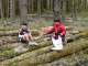 Eating lunch on the logs