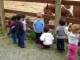 The horse liked the grasses the kids pulled from the fenceline and fed it