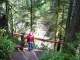 Overlooking Barnes Creek, as we hike back down from the falls