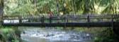 Flynn and Guinness make their way across the log bridge