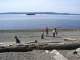 The “Green Team” at church organized a beach walk at Lincoln Park in West Seattle