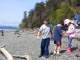 Flynn, Guinness, and Erin examining something from the beach