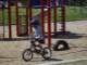 Wood chips are definitely easier to ride on than playground sand