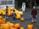 On our way out, each child got to pick his own pumpkin for Halloween