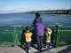 North of the Edmonds waterfront is a large area of buoys, marking features in the Underwater Park for divers