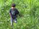 Finding his way through the ferns