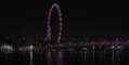 The Singapore Flyer, towering over the East Coast Parkway bridge