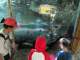 Debra, Flynn, and Guinness watch a baby pygmy hippo with its mother