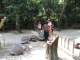 The tortoise area was divided by this fence, which allowed the smaller ones to choose whether or not to hang out with the large pair