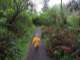 Walking the path to the lighthouse at Cape Disappointment