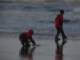 Playing in the surf