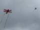 Pete and Flynn fly their kites together