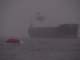 A cruise ship ferry boat makes its way back, past a freighter