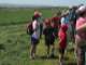 We didn’t wander very far from the farmhouse; here we listen while standing along rows of hay drying