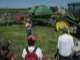 One of the brothers explains how a little detergent in the hay keeps cow tummies settled