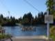 Turns out, there are still three places crossing the Willamette River served by ferries instead of bridges