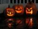 The pumpkins. Left to right, Guinness’s, Innaias’s, and Flynn’s.