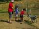 Petting zoo after picking.