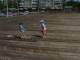 A large pier outside is a great place to run around.