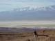 From our hike to Death Valley’s Natural Bridge, a great view of the salt flats behind Debra and Guinness