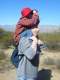 Flynn using his Daddy as a perch to get a better view of the bird nest in that big saguaro