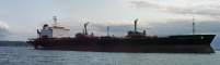 A freighter anchored out in Elliott Bay.