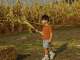 South 47 Farm makes a corn maze every year